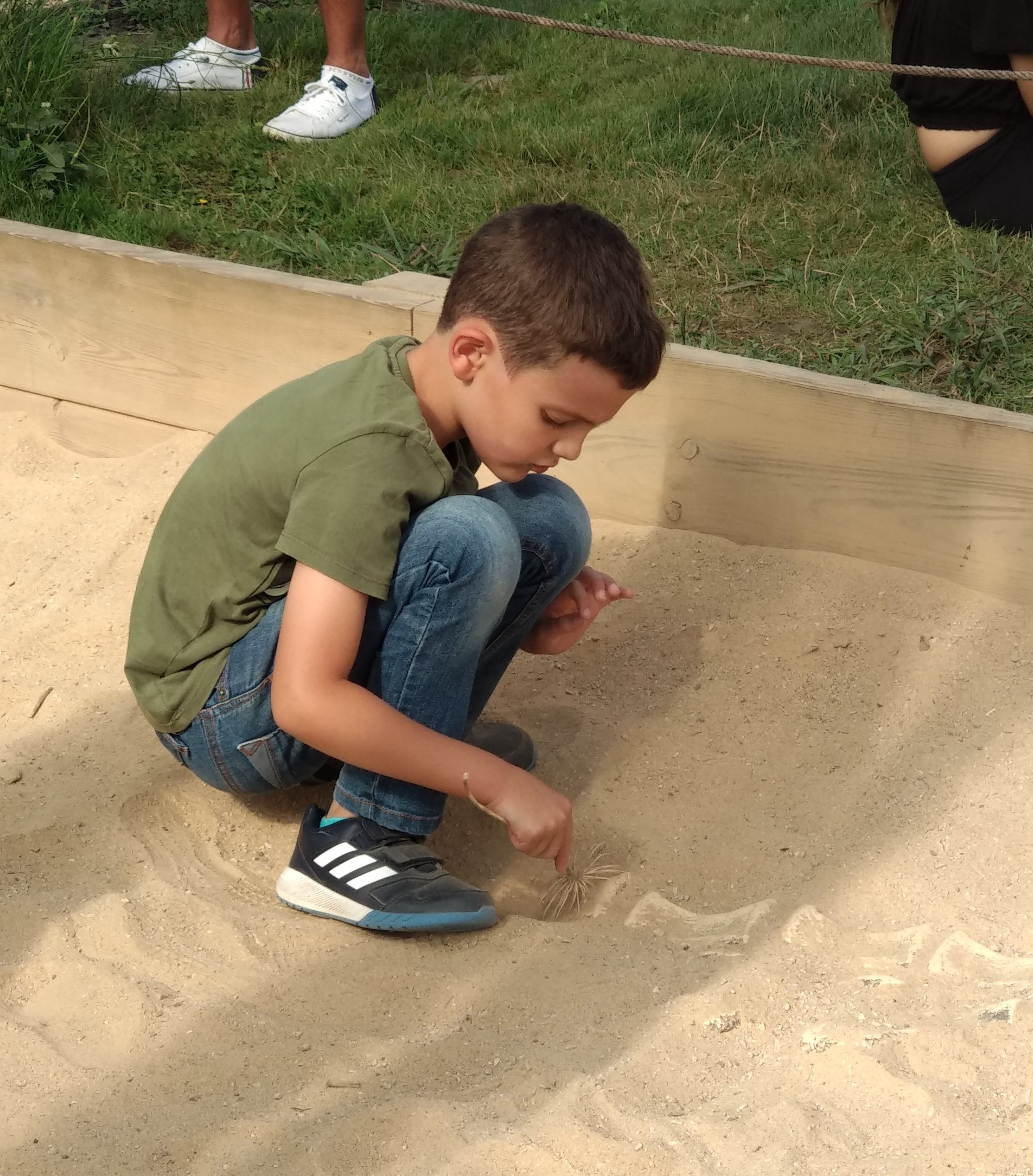 img 20180808 1742497044150152861829769