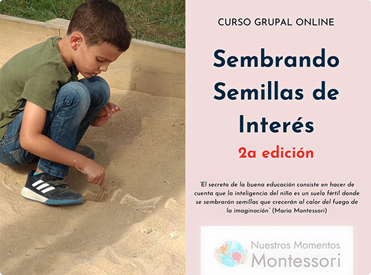 SERVICIOS Sembrando Semillas de Interés 02